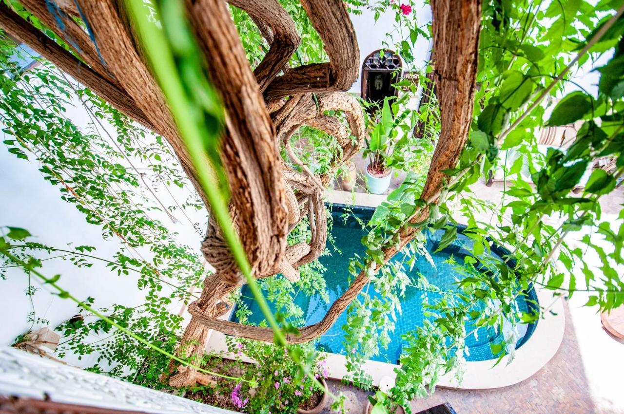 Hotel&Spa Riad Dar El Aila Marrakesh Exterior foto